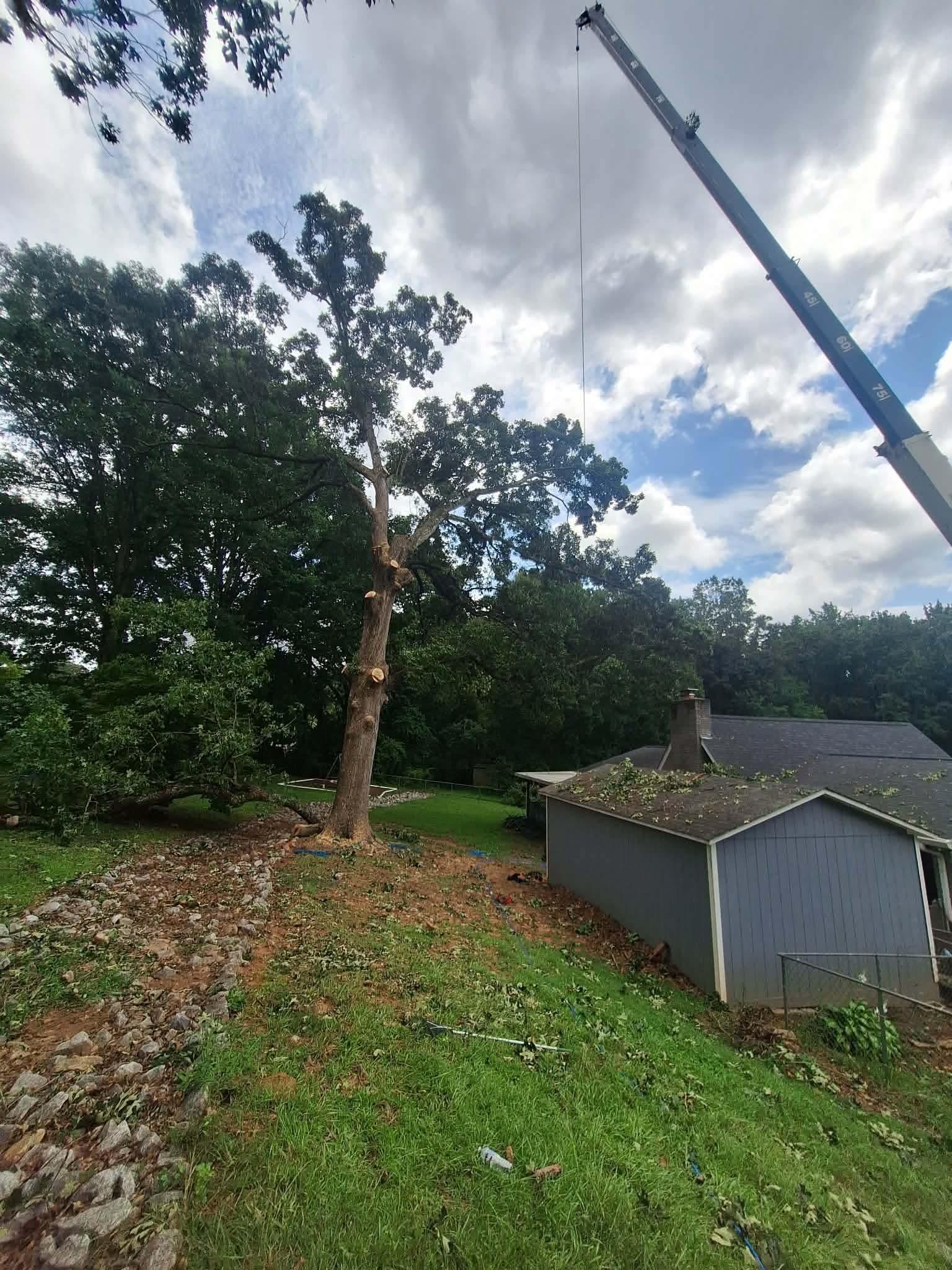 Crane positioned next to a residential home during an emergency tree removal
