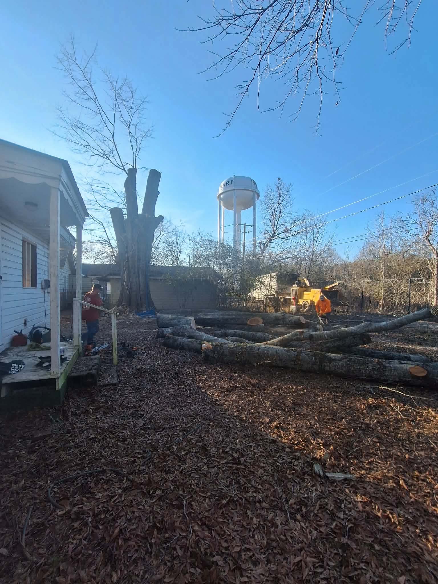 Residential yard after storm cleanup showing a trimmed tree stump and stacked logs
