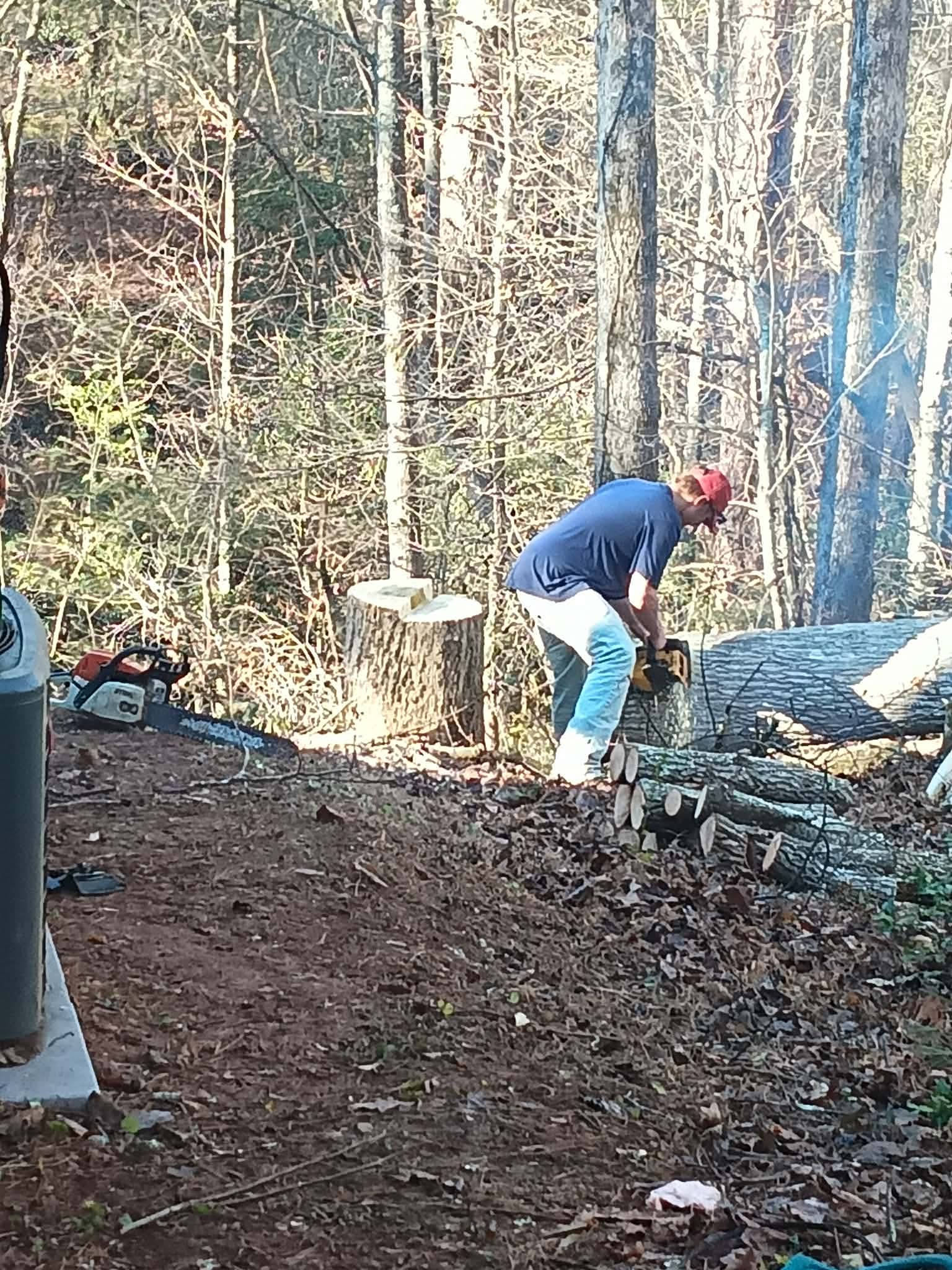 Worker with chainsaw bucking a large log during commercial lot clearing